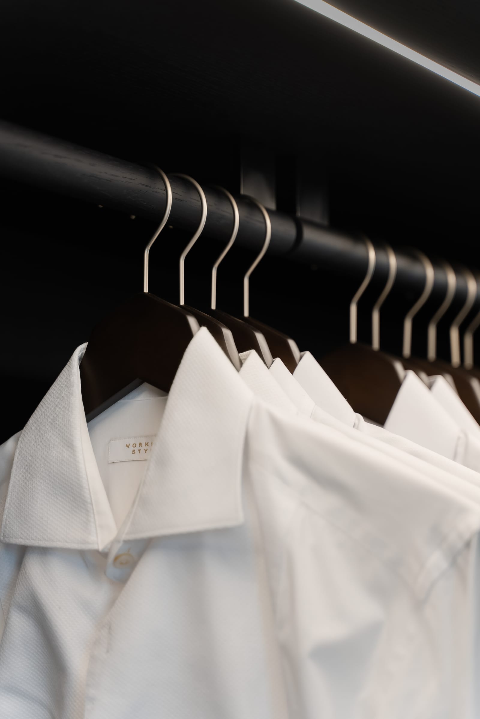 Dedwood Auckland photo 2