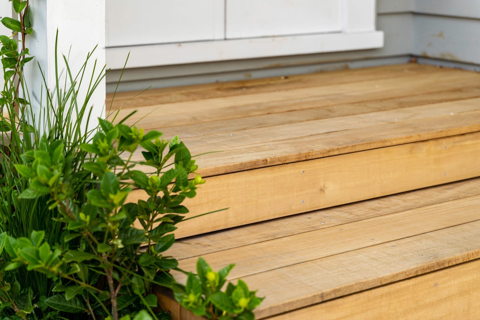 Princes Street Auckland photo 1