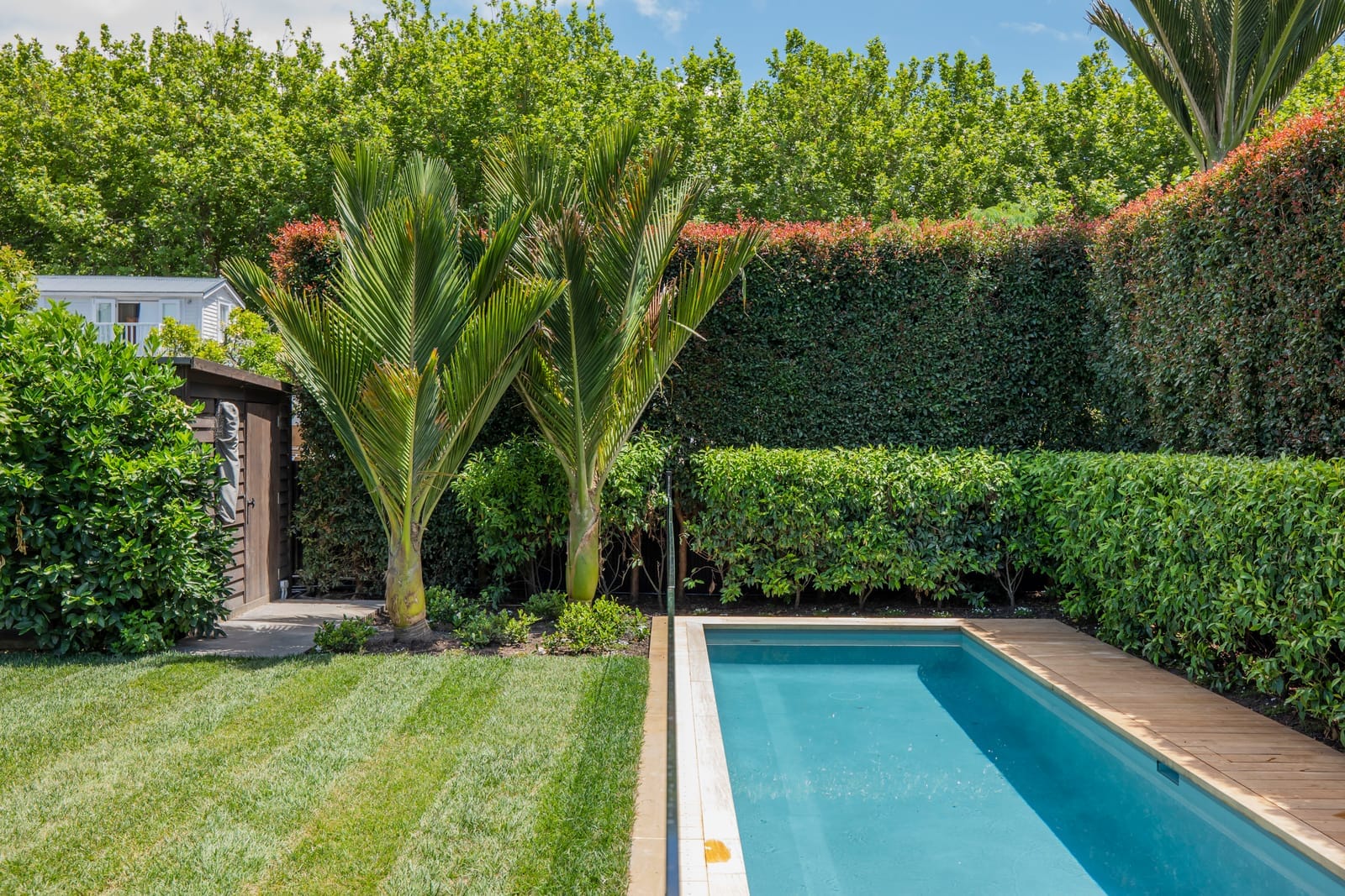 Wilton Street Auckland photo 1